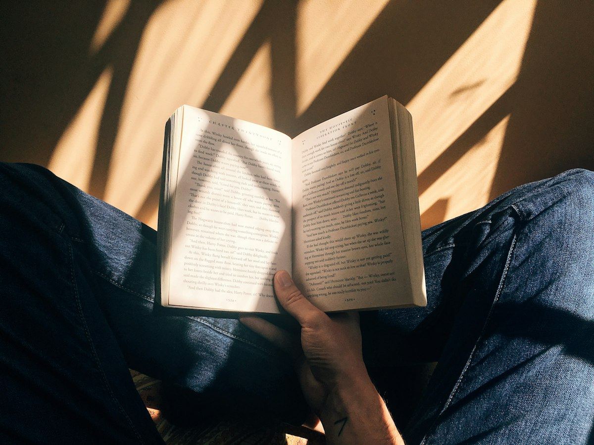 Reading a book in warm sunlight